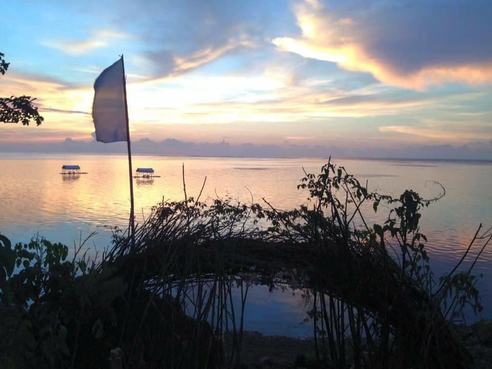 Birdland Beach Club Bolinao Eksteriør billede